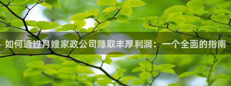 杏悦平台登录网址