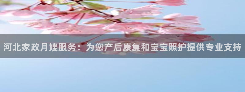 杏悦官方平台官网