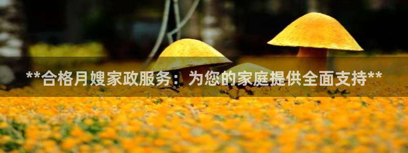 杏悦平台代理注册要钱吗