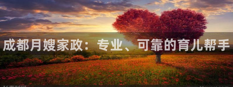 杏悦平台代理怎么赚钱的