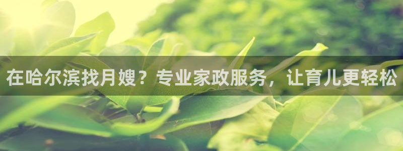 杏悦娱乐注册平台官网
