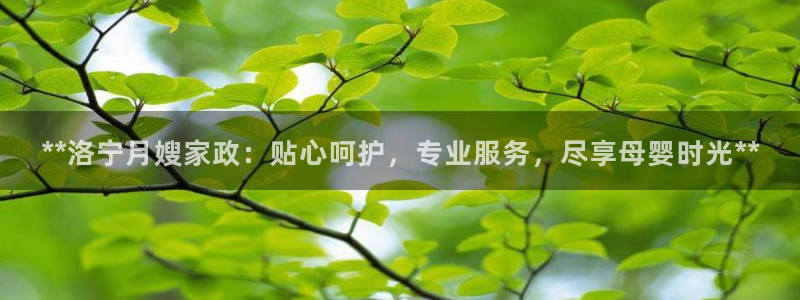 杏悦平台如何注册账号