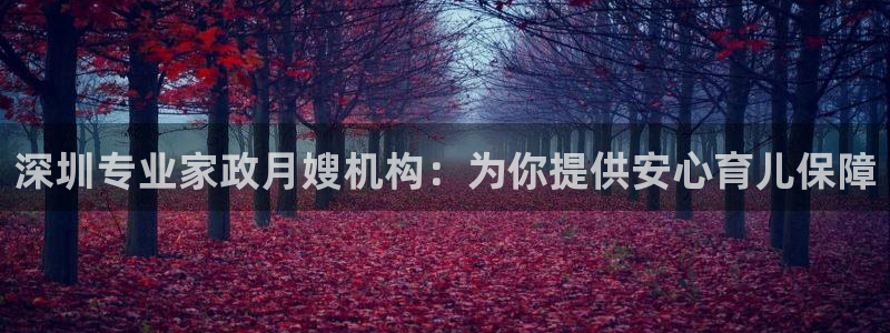 杏悦平台注册流程