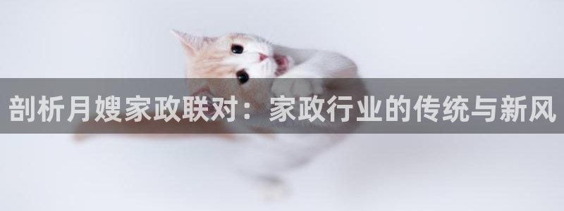 杏悦是什么