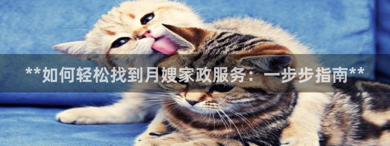 杏悦平台开户地址是什么