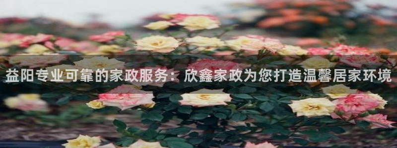 杏悦登录网址是什么
