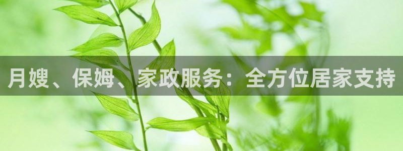 杏悦娱乐注册平台有哪些