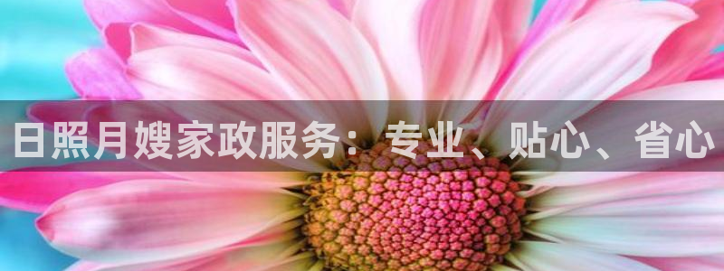 杏悦1招商地址