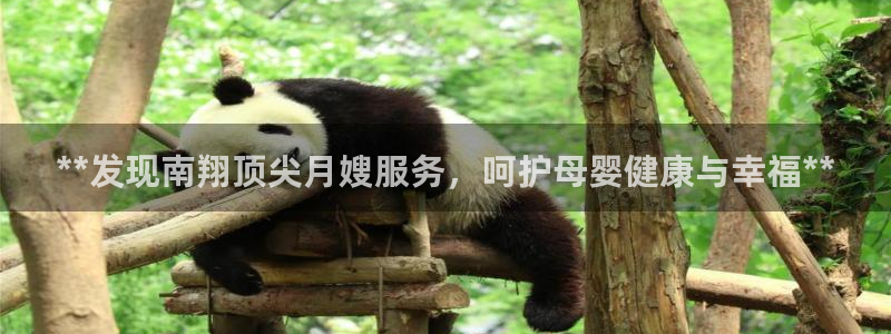 杏悦官网注册信息在哪里找