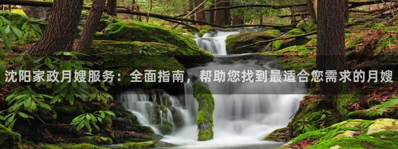 杏悦t首选推荐平台