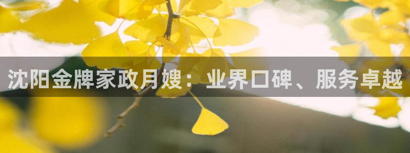 杏悦平台招商电话