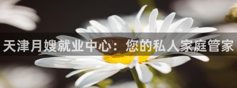 杏悦官方平台是正品吗安全吗