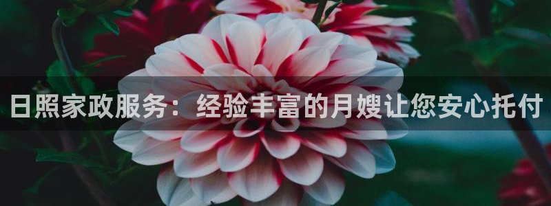 杏悦官网注册信息在哪里找