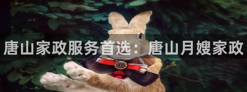 杏悦官方平台官网下载