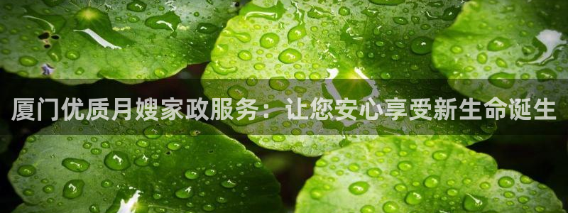 杏悦是什么