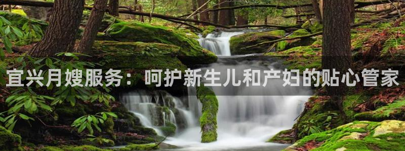杏悦平台代理