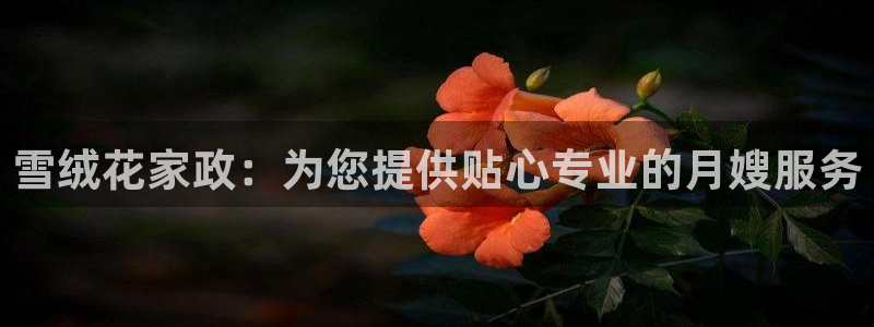 杏悦平台可靠吗可信吗知乎