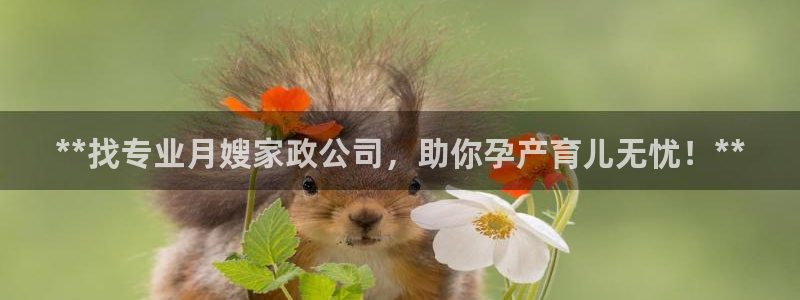 杏悦平台登录地址在哪里