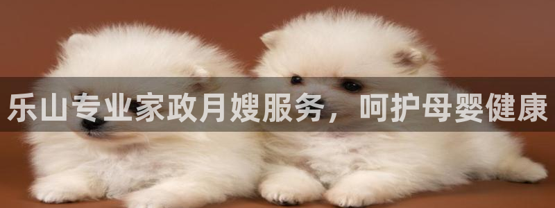 杏悦娱乐注册平台