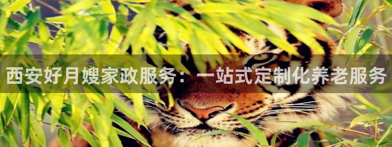 杏悦娱乐是什么