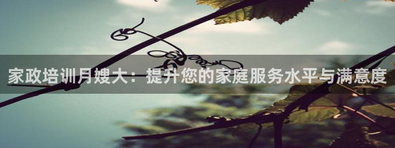 杏悦官网客服