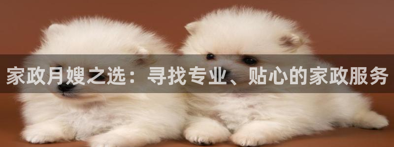 杏悦平台招商怎么样