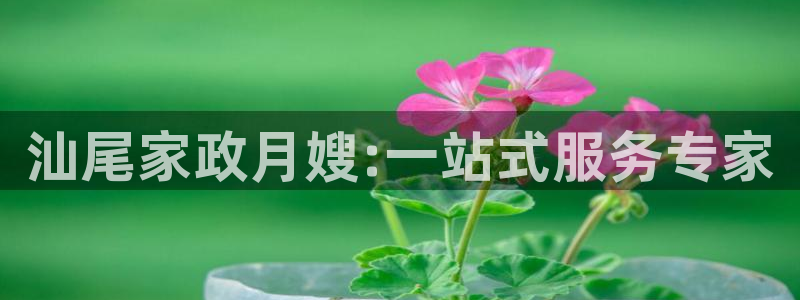 杏悦登陆地址