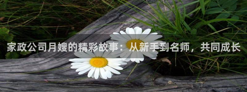 杏悦登陆地址