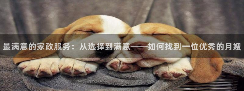 杏悦平台招商电话号码