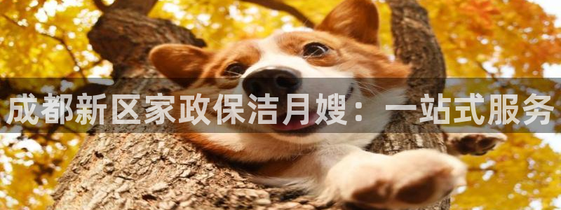 杏悦地址