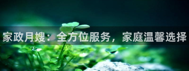 杏悦地址