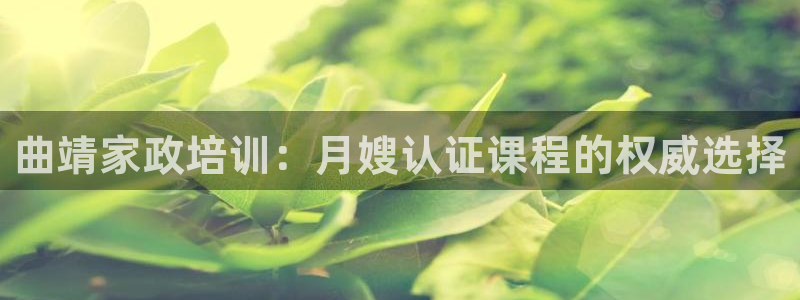 杏悦主管