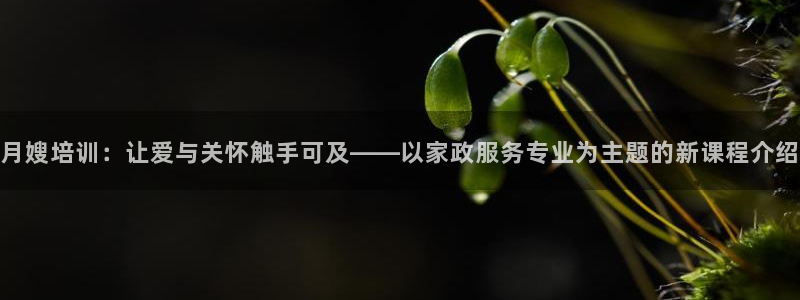 杏悦娱乐注册平台