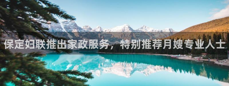 杏悦是什么平台