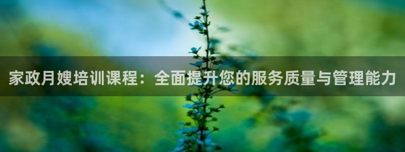 杏悦平台代理怎么样