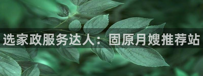 杏悦娱乐是什么