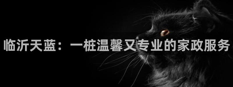 杏悦平台招商电话