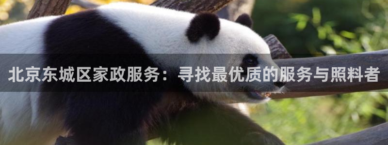 杏悦平台代理注册要钱吗