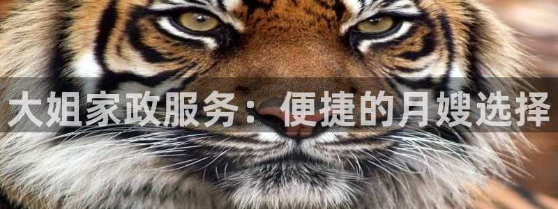 杏悦平台可靠吗可信吗安全吗