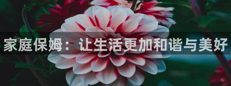 杏悦平台注册网址