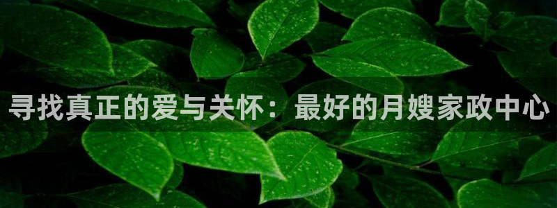 杏悦登录网址