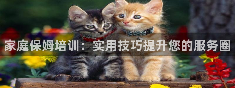 杏悦娱乐平台靠谱吗