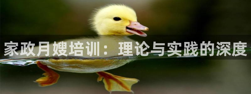 杏悦平台注册流程