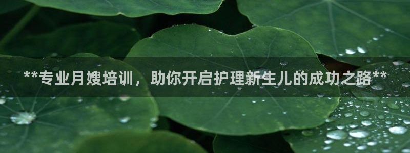 杏悦平台可靠吗可信吗是真的吗