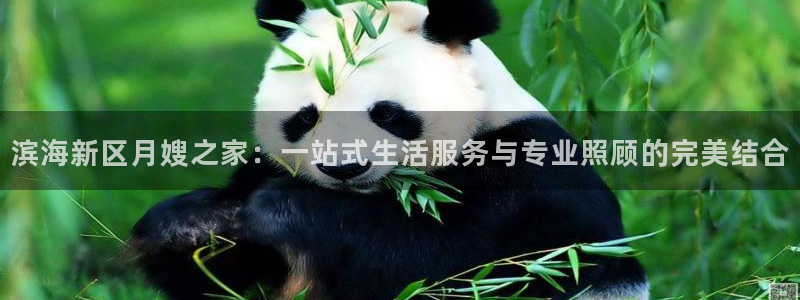 杏悦平台开户地址