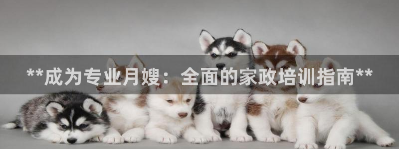 杏悦平台可靠吗是真的吗