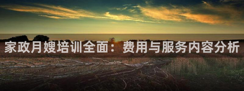 杏悦官方平台是正品吗