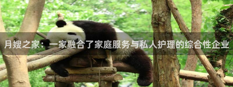 杏悦平台开户地址在哪里