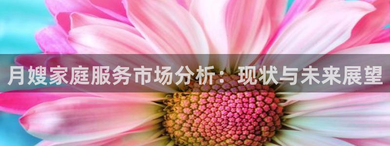 杏悦官方平台