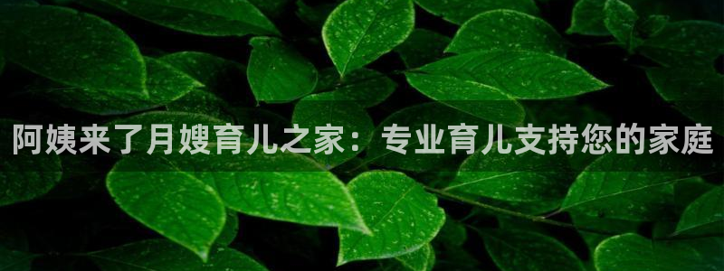 杏悦登陆地址